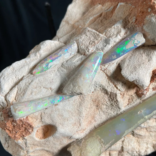Opal belemnite fossils - fossils, in