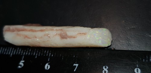 Carats belemnite pipe - carats, /