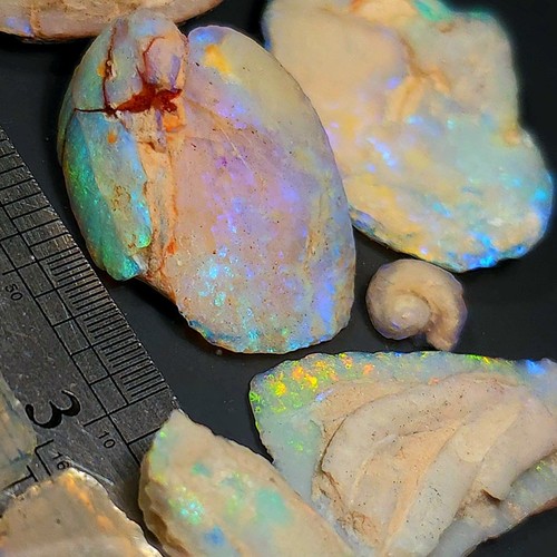 260ct 9pc rare cretaceous - 9pc,